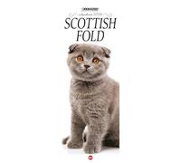 Scottish Fold. Calendario 2026. Long