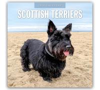 Scottish Terrier - Scotchterrier 2026 - 16-Monatskalender: Original Red Robin Publishing Ltd-Kalender [Mehrsprachig] [Kalender]