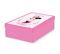Scotton Scatola per Cambio Stagione Minnie Disney