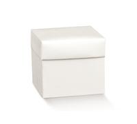 Scotton Scatola Pieghevole 165 x 165 x 80 Mm Fibra Bianco 10 Pz