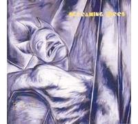 Screaming Trees - Dust - Cd