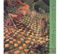 Screaming Trees invisible lantern (Vinyl LP)