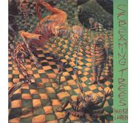 Screaming Trees invisible lantern (Vinyl LP)