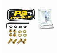 Screen Bolt Aluminium PRO BOLT Gold 23210706