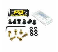 Pro Bolt Scr 6 Sk6g Windshield Screws Oro
