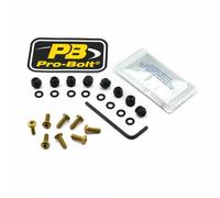 Screen Bolt Aluminium PRO BOLT Gold 23210751
