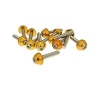 Screw Set 12 pezzi in alluminio tappo di oro - M6 x 30