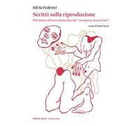 Scritti sulla riproduzione. Dal salario al lavoro domestico alle «insorgenze femministe»