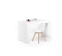 Scrivania Evolution 120x60, Bianco Frassino con Una Gamba