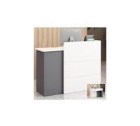 Scrivania moderna con pannello per la privacy, elegante bancone da 100 cm, elegante tavolo grigio, perfetto per uffici e aziende, design contemporaneo