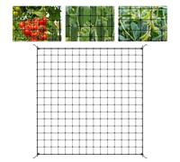 Scrog Rete 150 x 150 - Rete elastica per piante coltivate con 225 fori e 4 ganci in metallo, robusta rete per verdura, frutta e fiori in giardino, balcone e tenda per coltivare