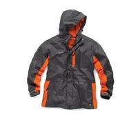 Scruffs Collo Interno Intrecciato Uomo (RW8760)