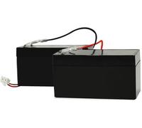 SCS Sentinel - AAM0127 - Un corredo di 2 batterie di sostegno - 12 / 24V - 30 CM