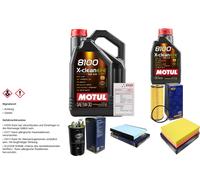 SCT Controllo set 6L MOTUL 8100 X-PULIRE EFE 5W-30 per VW Passat Variant 1.9