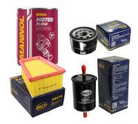SCT Controllo Set Filtro Set + Motor Flush Motorspülung 11584680