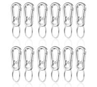 Sctnny 12 moschettoni piccoli, argento, Silbrig