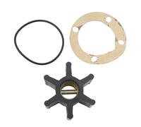 SCUASKJ Pompa Acqua Ausiliaria per Johnson 09-808B-1 per Onan 132-0310