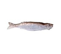 SCUDGOOD Portachiavi a forma di pesce artificiale, divertente fermaglio per capelli a forma di pesce essiccato, accessorio creativo per la borsa