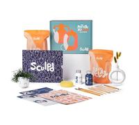 SCULPD, Kit per creazioni in ceramica per principianti, con argilla autoindurente, vernice lucida, colori, set di utensili, pennelli, spugna e istruzioni dettagliate (lingua italiana non garantita)