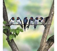 Scultura da parete in metallo con silhouette di uccelli su un ramo, per camera