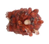 Sculture Di Leoni Da Interno Cristallo Leone Animali Decorativi Mini Resina