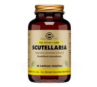 Scutellaria
