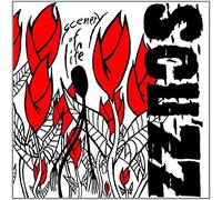 Scuzz - Scenery of Life