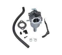 SCVYLNZ 698620 Carburatore Adatto for 287707 287776 287777 310707 310777 28N707 799727