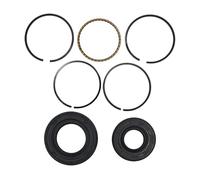 SCVYLNZ Adatto for GX35 GX 35 39mm Pistone Anelli Albero Motore Paraolio Kit 4 Tempi Tosaerba Motore Ricambio