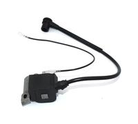 SCVYLNZ Bobina del modulo di accensione Adatta for GR41 GR44 GR50 RS41 RS44 PN 506027206