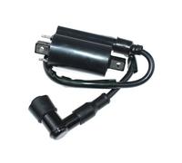 SCVYLNZ Bobina di accensione Adatta for LX186 LX188 LX277 LX279 LX289 F710 F725 F911 4x2 4x4 6x4 XUV 620i 625i 1800