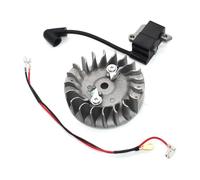 SCVYLNZ Bobina di accensione volano Adatta for GZ500 GZ381 CS450 CS450 Elite