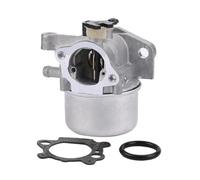 SCVYLNZ Carburatore Adatto for 799866 790845 799871 796707 794304