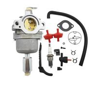 SCVYLNZ Carburatore di Ricambio Adatto for 594601 33R877 594605 697216 31P677 799256 795366 331877 698945 699475