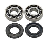 SCVYLNZ Cuscinetti Albero Motore e paraoli Adatti for 395xp 395 394 394xp 288 281 181 298