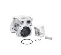 SCVYLNZ Gruppo Cilindro pistone da 43 mm Adatto for Motosega Giardino 545 545XP 550 550XP 550XPG 577764706 577764708 577764707
