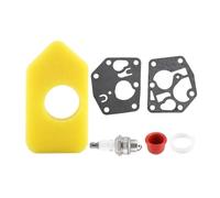 SCVYLNZ Guarnizione del diaframma del carburatore, Filtro dell'Aria Adatto for 495770 795083 698369