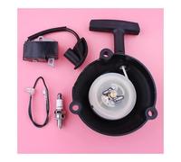 SCVYLNZ Kit Bobina di accensione con avviamento a Strappo Adatto for BR600 BR550 BR500 Sostituisci Il Pezzo n. 4282 190 0303 Parti del Motore del Tosaerba Erba