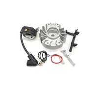 SCVYLNZ Kit di Candele for Bobina accensione, volano carburatore, Adatto for MS180 MS170 MS 180 170 017 018, Parti e Strumenti for motoseghe(Type 3)