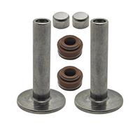 SCVYLNZ Kit di Protezione del Tappo di Tenuta dello Stelo del Sollevatore Adatto for Motore GX390 13HP GX 390 188F