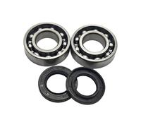 SCVYLNZ Kit paraolio Cuscinetto Albero Motore Adatto for generatore Motore Piccolo GX160 GX200 168F 5,5/6,5 HP 2-3,5 kW