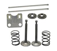 SCVYLNZ Kit Piastra Guida Asta di Spinta Adatto for Motore GX160 GX200 5,5 HP 6,5 HP 168F 14791-ZE1-010 decespugliatore ad Acqua