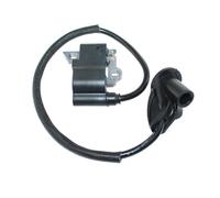 SCVYLNZ Modulo Bobina di accensione Adatto for TS400 4134 400 1303