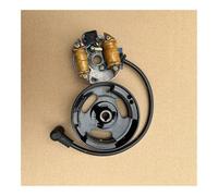 SCVYLNZ Nucleo del ROTORE dello STATORE Adatto for 1E40F 1E45F 1E45FP 1E40FP MODULO di ACCENSIONE A Piastra 3WF-18 3 2.6 NEBULIZZATORE