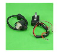 SCVYLNZ Pacchetto CDI statore Bobina di accensione Adatto for Motore generatore ET950 ET650