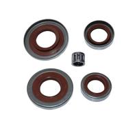 SCVYLNZ Paraolio e Gabbia a rulli Adatti for TS700, TS700Z, TS800, TS800Z, 9512 003 3283, 9640 003 1745, 9640 003 2257