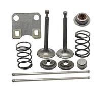 SCVYLNZ Piastra Guida Asta di Spinta Adatta for GX160 GX200 5,5 HP 6,5 HP Tappo di Protezione Stelo Set Molla di ritegno Parte Motore Tosaerba