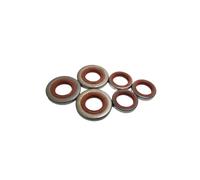 SCVYLNZ Set di guarnizioni di Tenuta dell'olio dell'albero Motore Adatte for Parti di Ricambio for Motosega MS341 MS361 MS362 MS441 OEM 9640 003 1560 1600(5 Sets)