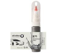 SD COLORS MOONWALK GRIGIO B71 - Pennello per ritocchi da 20 ML, per riparazione graffi (solo vernice)