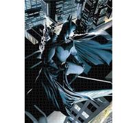 SD TOYS DC UNIVERSE BATMAN VIGILANTE PUZZLE PUZZLE